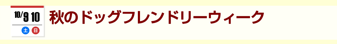 秋のドッグフレンドリーウィー