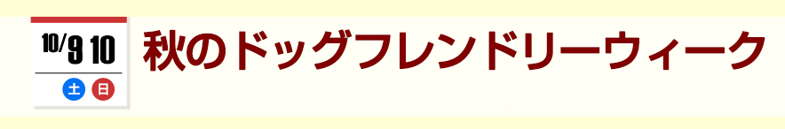 秋のドッグフレンドリーウィー