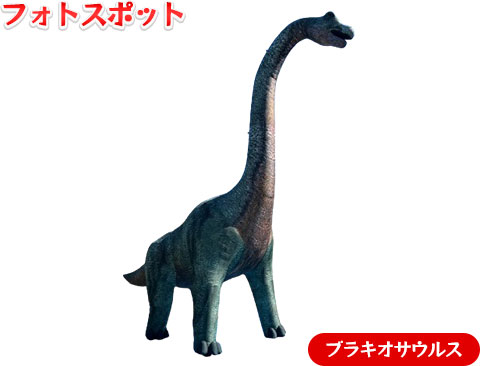 フォトスポット